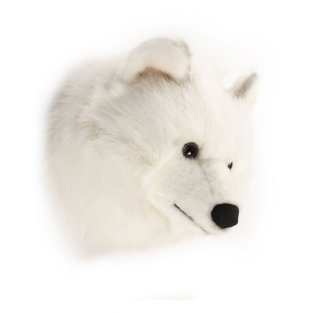 Wild & Soft - Wild & Soft - Trophée Loup Blanc
