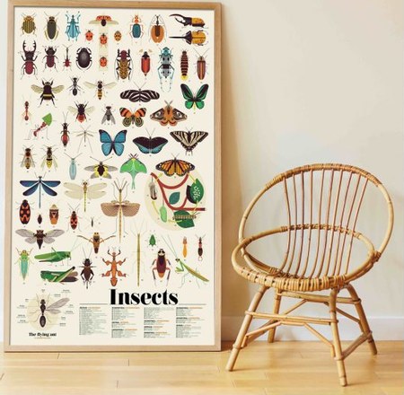 Poppik - Poppik - Poster sticker Les Insectes
