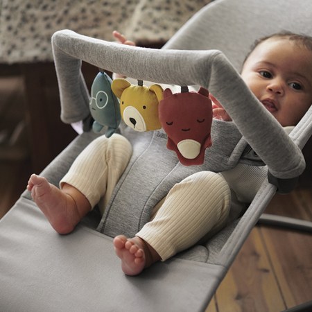 BabyBjörn - BabyBjörn - Arche pour transat Amis Doux