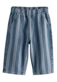 Next - REGULAR FIT - PULL ON WIDE - Pantalon classique - dark blue stripe
