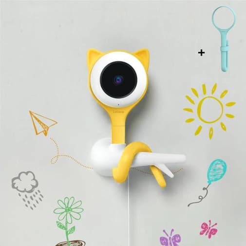 Lollipop - Camera Lollipop Funny Cat