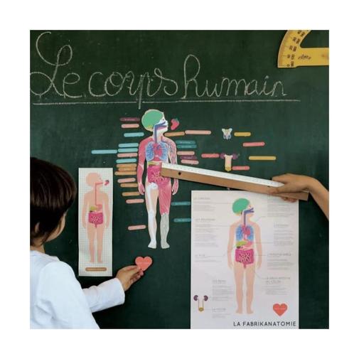 La cabane à rêves - Magnets le corps humain