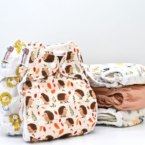 BBIES - Lot 5 Couches lavables Tout en deux (Te2) - Bambou