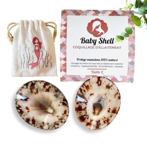BABY SHELL - BABY SHELL Coquillages d'allaitement Nacre 100% Naturels Atelier Français - Soins CREVASSES | Taille Large