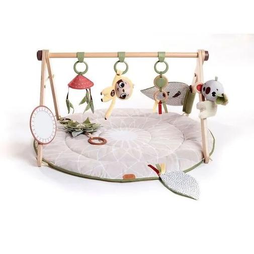 Tiny Love - Tapis Gymini