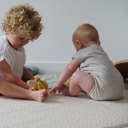 Mèzamé 2025 - Tapis de vie Cueillette Milk