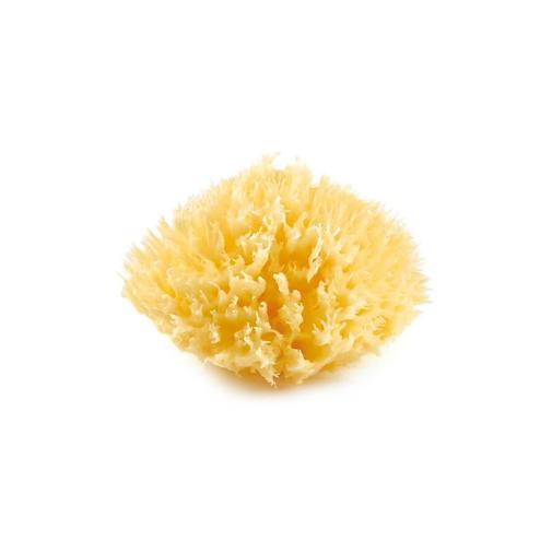 Thermobaby - Eponge De Mer Honeycomb Jaune