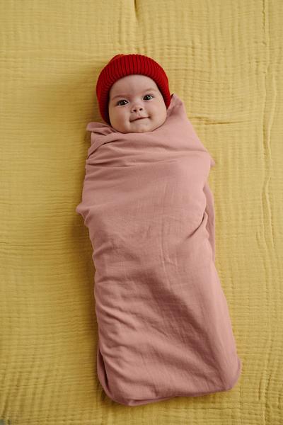 Petit Picotin - Louis le lange maxi