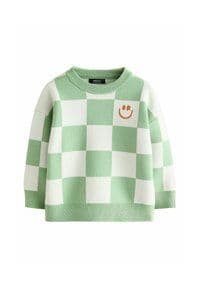 Next - REGULAR FIT -  CREW NECK  - Pullover - green checkerboard
