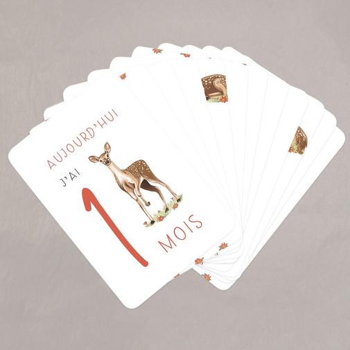 Le Faire-Part Français - Cartes étapes bébé Bichette