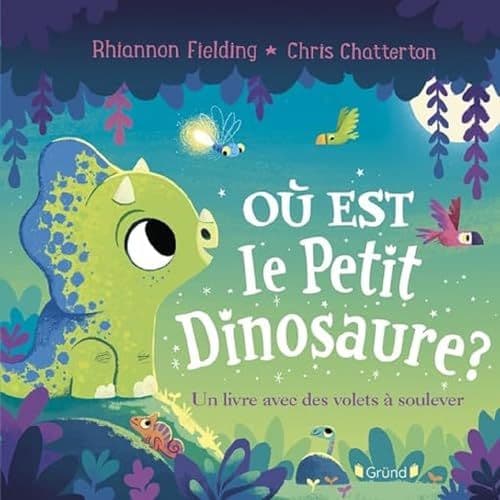 Fielding, Rhiannon - Où est le petit dinosaure ? Un livre avec des volets à soulever – Album jeunesse tout-carton avec des volets – à partir de 1 an