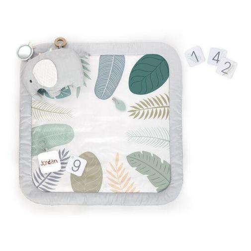 Ingenuity - Tapis d'éveil avec cartes étapes