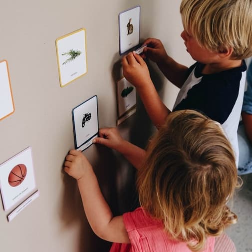 Observe Montessori - Giga mondy, 600 cartes montessori