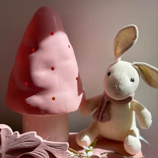 Egmont Toys - Petite lampe veilleuse champignon Cuberdon