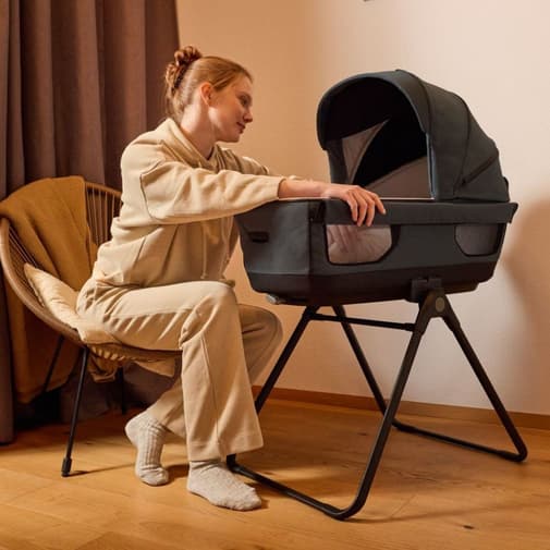 Inglesina - Aptica XT