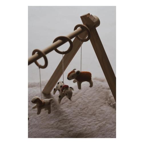 Quax - Quax - Set de jouets d'arche Chiens