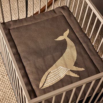 Quax - Fond de Parc Tricot - Baleine