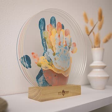 Petit Artichaut - Family Colors