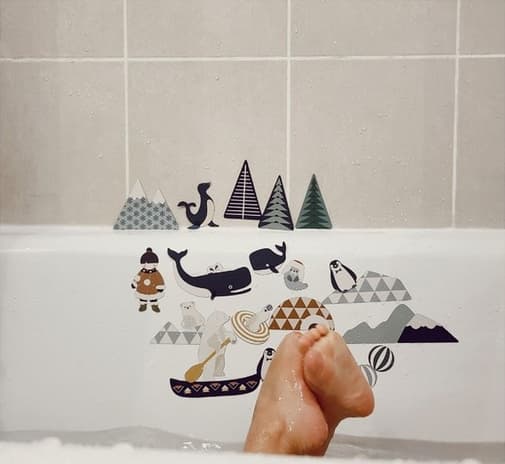 La cabane à rêves - Magnets animaux – banquise