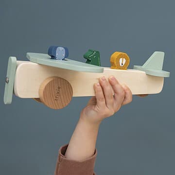 Trixie - Avion en bois