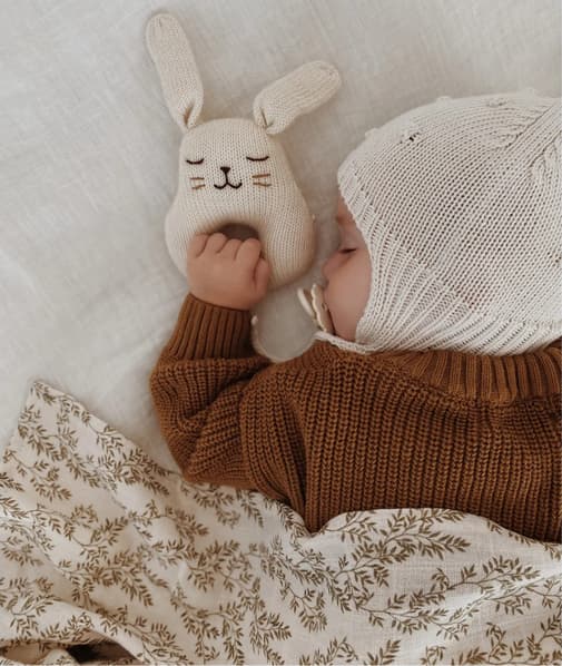 Main Sauvage - Main Sauvage - Hochet Lapin