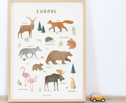 Lilipinso - Affiche Animaux d'Europe (30 x 40 cm)