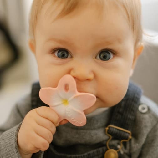 Oli and Carol - Mini jouet de dentition Bella the flower