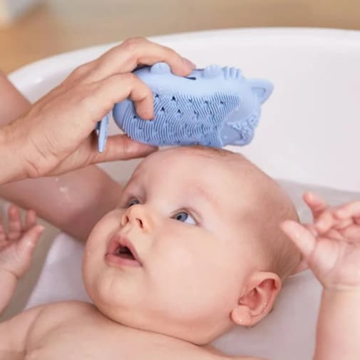 B.BOX - Brosse et éponge bain bébé renard