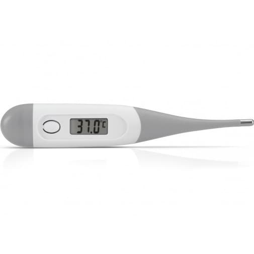 Alecto - Thermomètre Digital Alecto Gris