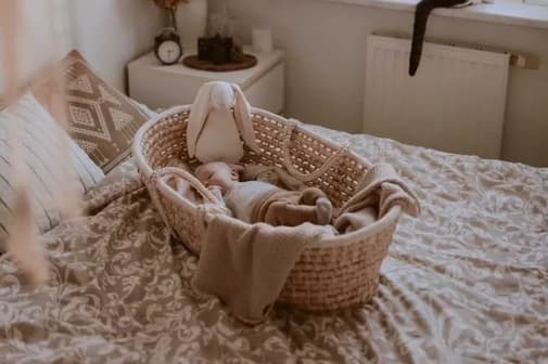 Mon Lit Cabane - - Couffin avec Matelas, Parure Sans Support -