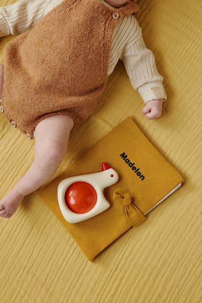 Petit Picotin - Barnabé le protège carnet de santé