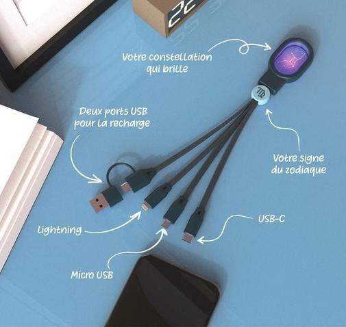MOB - Câble de recharge 4en1 - eclairage led design lion - mob
