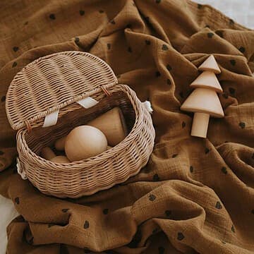 Rose in April - Lange Bianca M - Cumin Coeurs Noirs