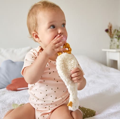Lassig - Doudou attache sucette Tiny Farmer Oie