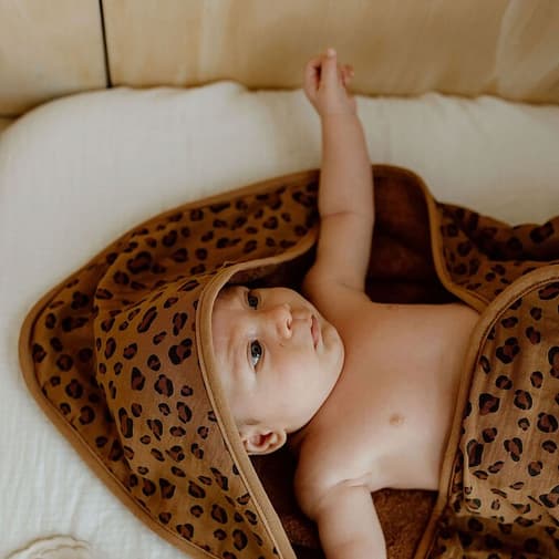 Bonjour Little - Cape de Bain - Bengal