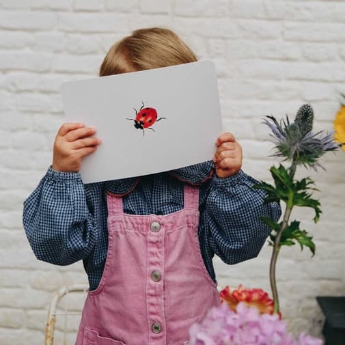 Observe Montessori - Mondy des curieux - 45 cartes bilingues autour de la nature