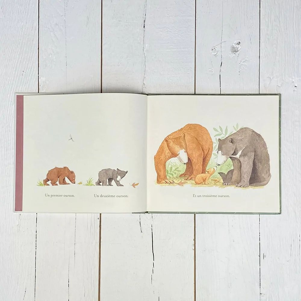 Livre Vous êtes tous mes préférés (Petit Picotin) - Image 4