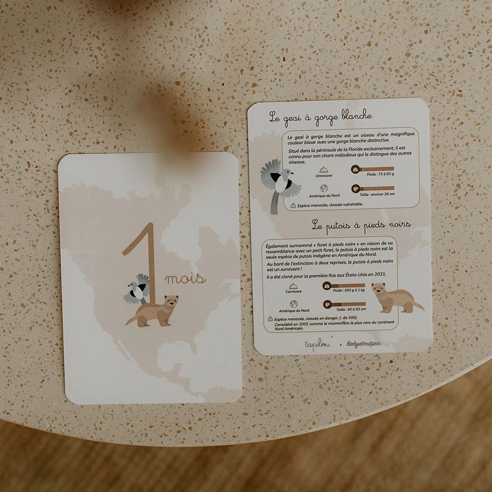 Les cartes étapes Tapilou X Babyatoutprix (Tapilou) - Image 1