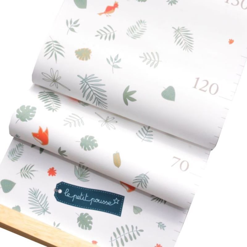 Toise déco feuilles, renards et oiseaux (Le Petit Pousse) - Couverture