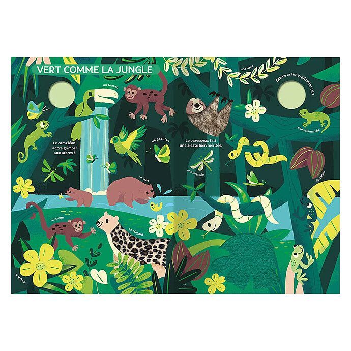Mon Très Grand Livre d'Eveil - Le Monde des Couleurs (Auzou) - Image 2