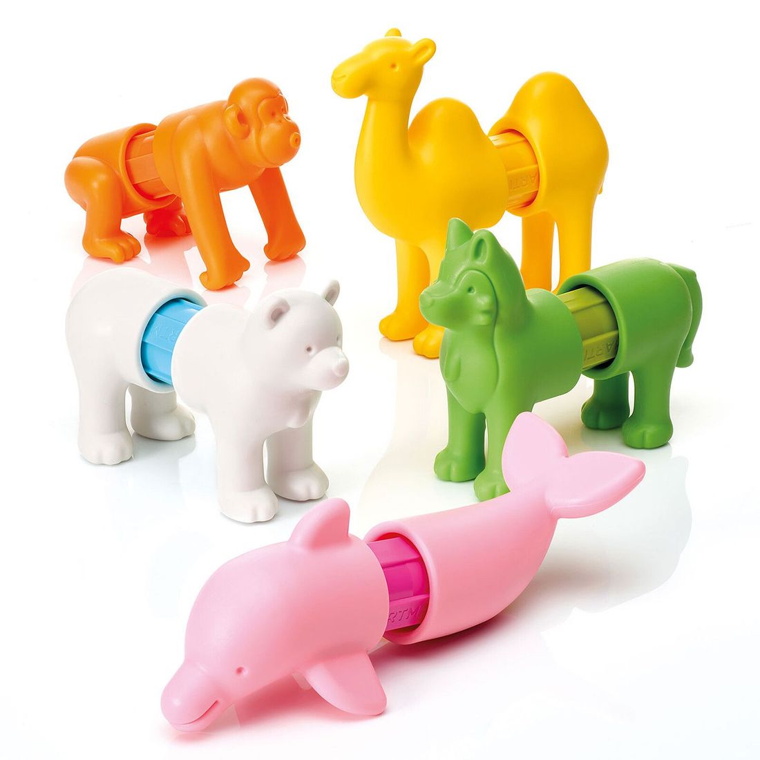 Les Animaux Autour du Monde - My First Animals (SmartMax) - Couverture