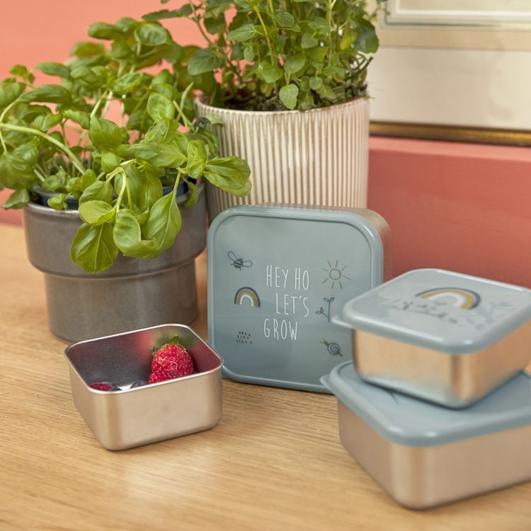 Lot de 3 boîtes à goûter Garden Explorer (Lassig) - Image 6