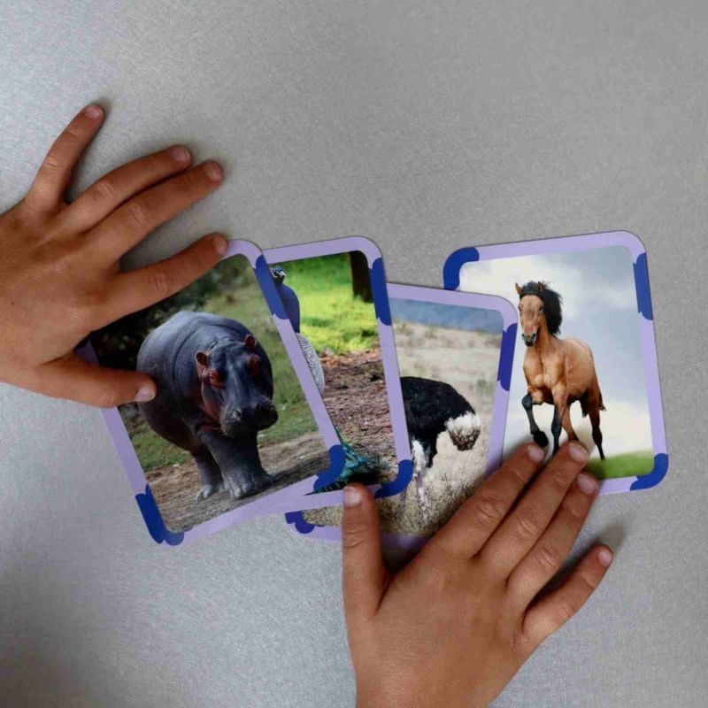 Mes 40 premiers mots: animaux (Observe Montessori) - Image 2