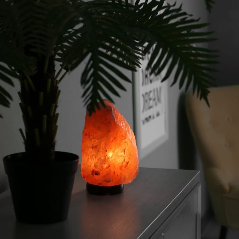 Lampe de sel d'himalaya de 2 à 3 kg (Zen Light) - Image 3