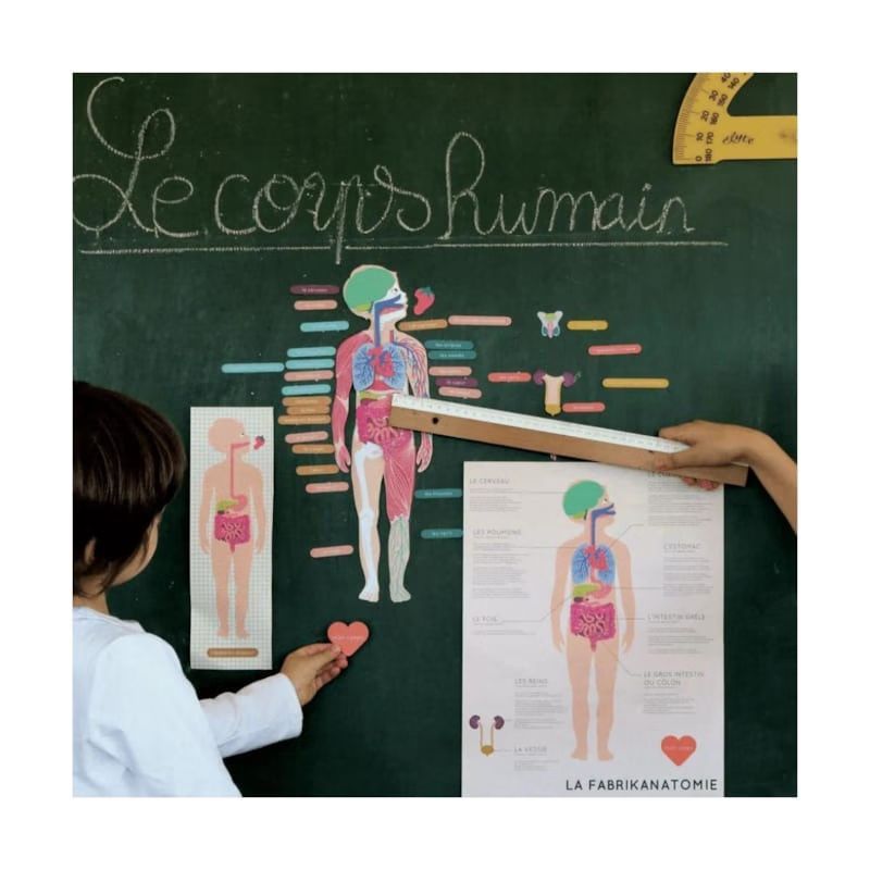 Magnets le corps humain (La cabane à rêves) - Couverture