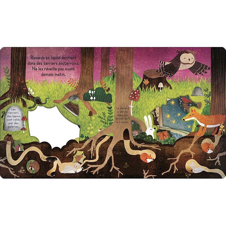 Livre Bonne nuit, la forêt ! (Editions Kimane) - Image 6