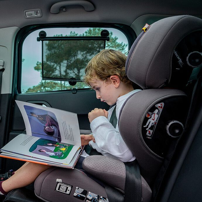 Organisateur de Siège de Voiture Ezi Travel Plus (Ezimoov) - Image 2