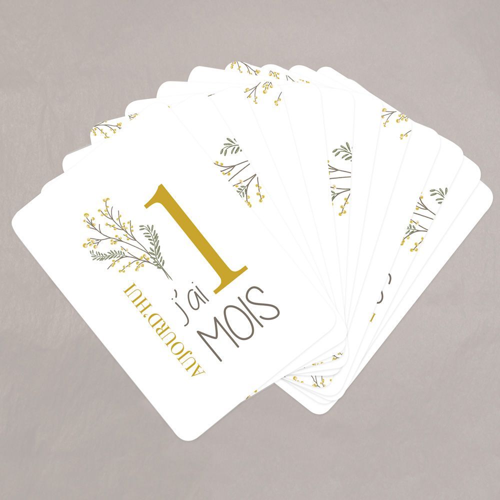 Cartes étapes bébé Camomille (Le Faire-Part Français) - Couverture
