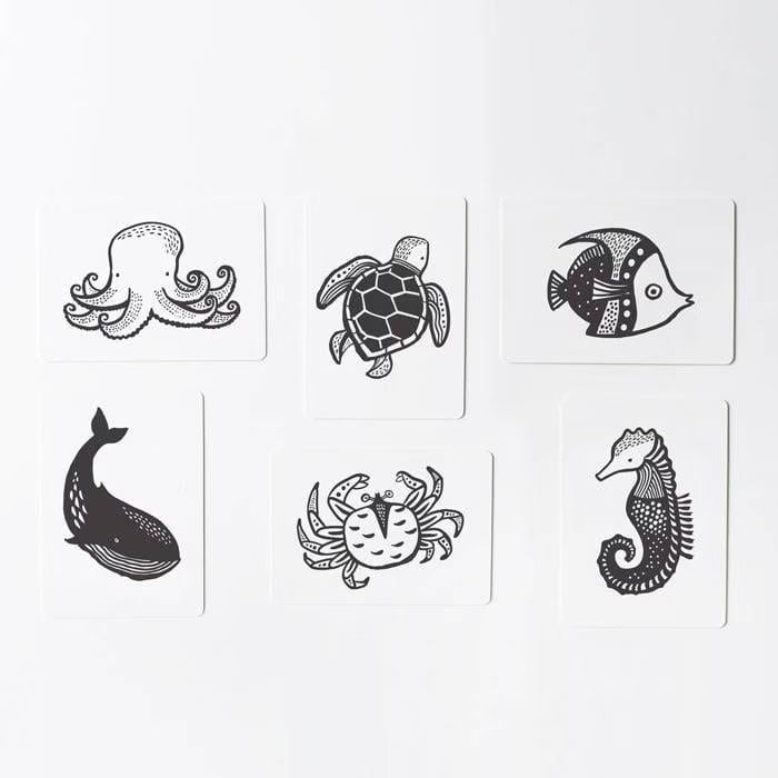 Cartes imagier animaux - océan (Wee Gallery) - Image 1
