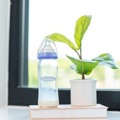 Biberon en verre Natural Wave spécial allaitement (240 ml) (Lansinoh) - Image 2